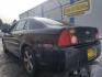 2009 Chevrolet Malibu LT1 (1G1ZJ57B79F) with an 2.4L L4 DOHC 16V engine, 6-Speed Automatic transmission, located at 1821 N Montana Ave., Helena, MT, 59601, 0.000000, 0.000000 - Photo#5