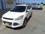 2013 Ford Escape SE 4WD (1FMCU9GX5DU) with an 1.6L L4 DOHC 16V engine, 6-Speed Automatic transmission, located at 4801 10th Ave S,, Great Falls, MT, 59405, 0.000000, 0.000000 - Photo#0